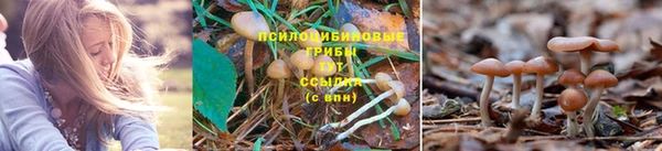 прущая мука Армянск