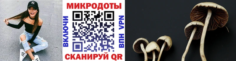 купить наркотики цена Рыбное блэк спрут маркетплейс Галлюциногенные грибы мухоморы